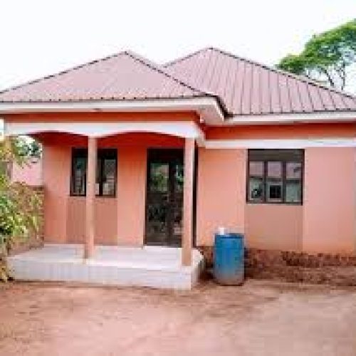 images images